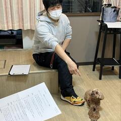 家庭犬のしつけを考えている方への画像