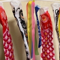 ミニ鯉のぼり 決まりました