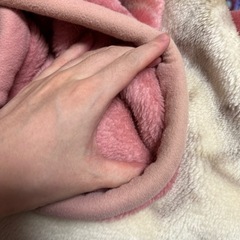 引き渡し予定の方が決まりました。中古毛布G柄の画像