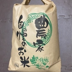令和5年産コシヒカリ　10キロ
