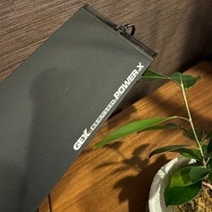 GEXクリアーLED パワーXの画像