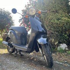 🛵HONDA トゥディー50低燃費‼️配達通勤通学‼️即乗り自宅...