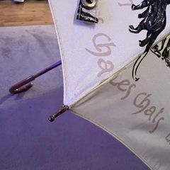 Les chats アート傘の画像