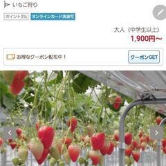 明日暇な人いませんか？苺狩り行きませんか‼️