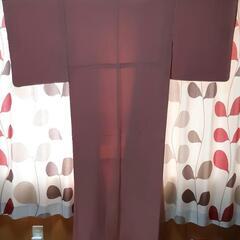  着物 　色無地の画像