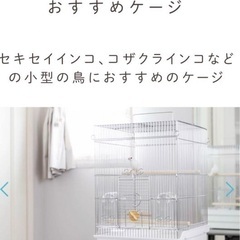 鳥ケージ　取りに来てくれる方限定の画像