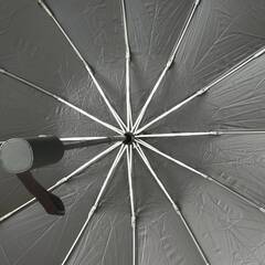 アマゾンの半額！収納ポーチ付き 12本骨 おりたたみ傘 （開封未使用品）の画像