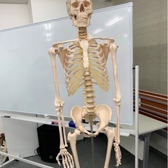 健康メンテナンスの画像