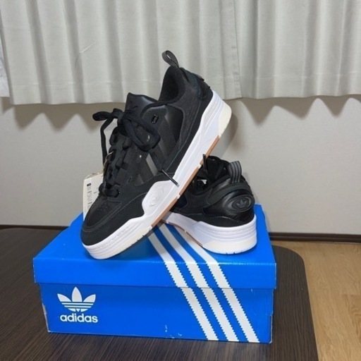 スポーツ テニス