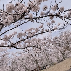 30代～の独身のお友達❤️✨大阪 大東市 東大阪市 寝屋川 門真...