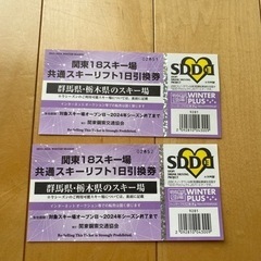 スキー場チケット　2枚セット