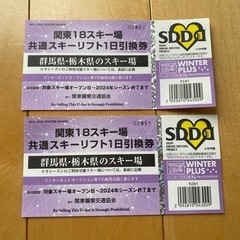 スキー場チケット　2枚セット
