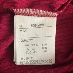 半袖カットソーの画像