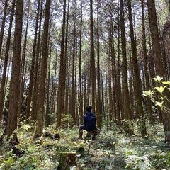 【成約済】山林物件174　佐賀県伊万里市松浦町中野原②