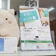 Pino English School ピノ英会話塾の画像