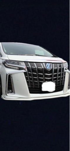 30系アルファード　　フロントリップ