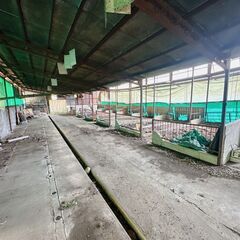 古民家と養豚場、田んぼに畑、山林がある土地を売ります。【約4000㎡】 - 不動産