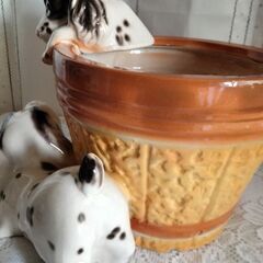 犬の鉢植え　鉢カバー　植木鉢　2点の画像