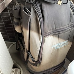 スポーツ ゴルフ　バック　ボールの画像