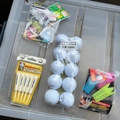 スポーツ ゴルフ　バック　ボールの画像