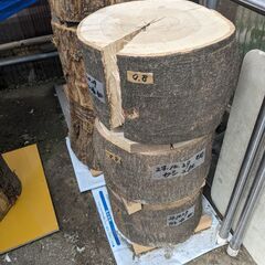 ■(完売) :丸太・樫( カシ ) の広葉樹・・圧巻