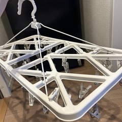 生活雑貨 洗濯用品 ハンガー