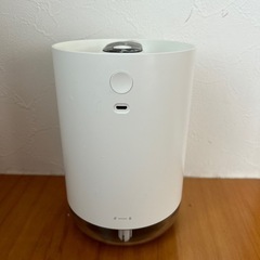 加湿器（月末処分）