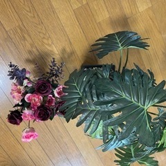 生活雑貨 家庭用品 ガーデニングの画像