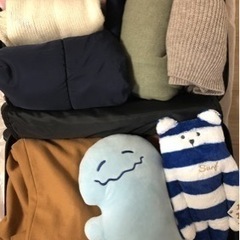 おもちゃ ぬいぐるみの画像