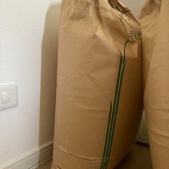米　精米済み10キロ