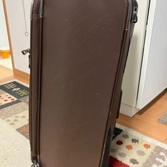 値下げしません。　機内持ち込み可　Longchamp ロンシャン　スーツケース　キャリー　希少の画像