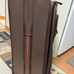 値下げしません。　機内持ち込み可　Longchamp ロンシャン　スーツケース　キャリー　希少の画像