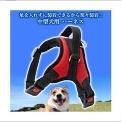 ハーネスの画像
