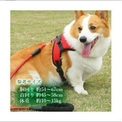 ハーネスの画像