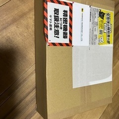 カメレオンリーダーの画像