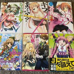 小説まとめ売り　ラノベ【j049】