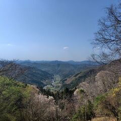 ５／１２(日)  府民の森🍃なるかわ園地でハイキング😊