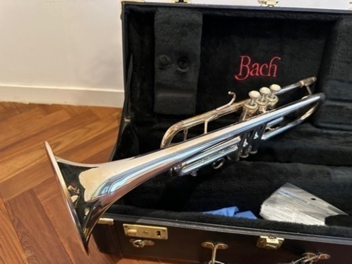 楽器 管楽器、笛、ハーモニカ