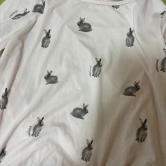 ジェラートピケ バニー ルームウェア 上下セットの画像