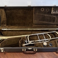 楽器 管楽器、笛、ハーモニカ