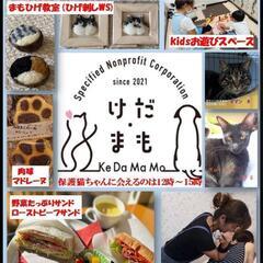 猫好きさん集まって🥰