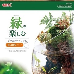 未使用　 GEX AQUARIUM グラスアクア スロープ 水草...