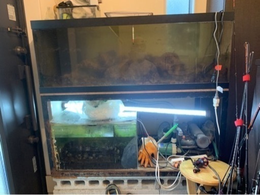【予定者様決まりました】オーバーフロー水槽　海水魚用