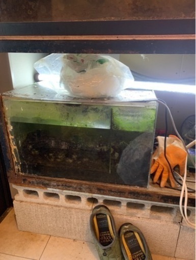 【予定者様決まりました】オーバーフロー水槽　海水魚用