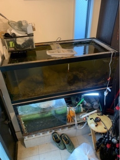 【予定者様決まりました】オーバーフロー水槽　海水魚用