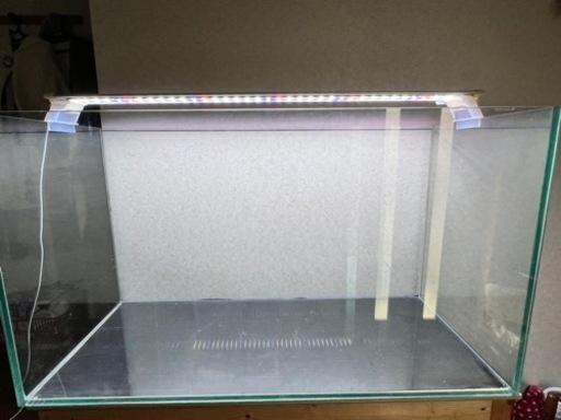 GEX 90cm ガラス 水槽