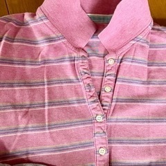 レディース　ポロシャツ　３点セットの画像