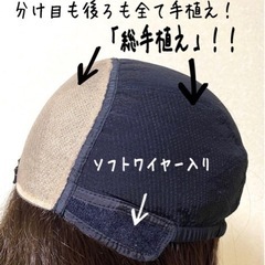 新品76900円の人毛100%総手植えフルウィッグの画像