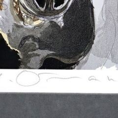 天野喜孝「肖像」リトグラフ 吸血鬼ハンターDの画像