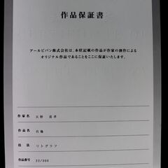 天野喜孝「肖像」リトグラフ 吸血鬼ハンターDの画像